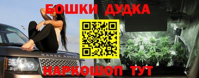 прущие грибы Шебекино
